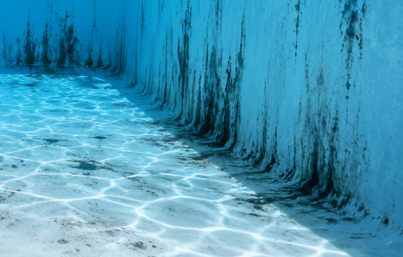 Black algae streaks on the walls and floor of a residential swimming pool.